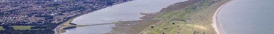 Bull Island