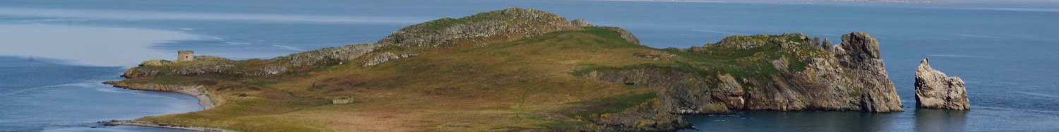 Ireland's Eye